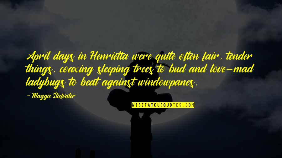 You Can Choose Your Friends Quotes By Maggie Stiefvater: April days in Henrietta were quite often fair, You Can Choose Your Friends Quotes By Maggie Stiefvater: April days in Henrietta were quite often fair,