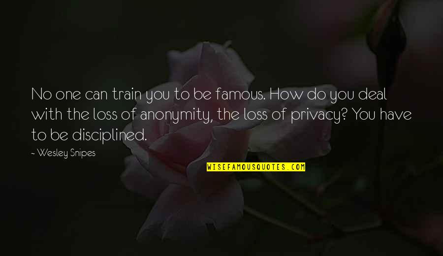 You Can Do It Famous Quotes By Wesley Snipes: No one can train you to be famous.