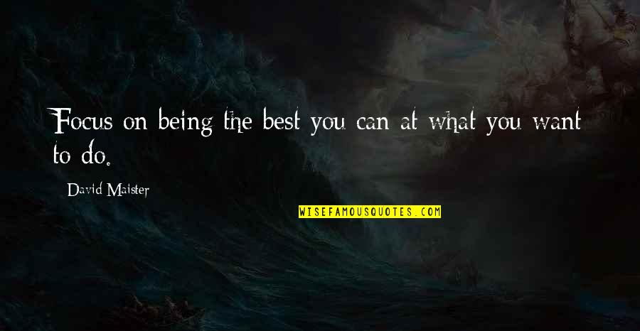You Can Do What You Want Quotes By David Maister: Focus on being the best you can at