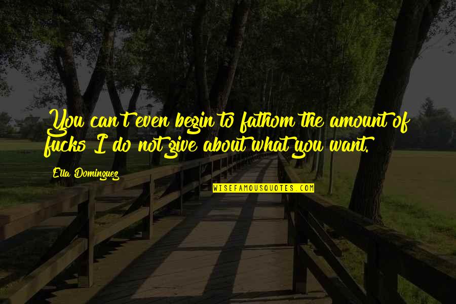 You Can Do What You Want Quotes By Ella Dominguez: You can't even begin to fathom the amount