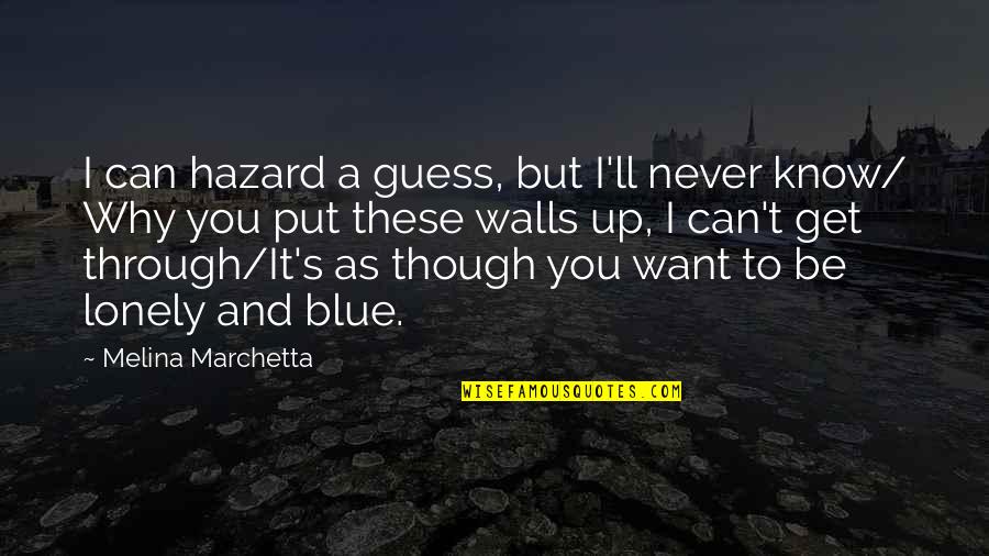 You Can Get Through It Quotes By Melina Marchetta: I can hazard a guess, but I'll never