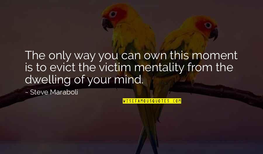 You Can Go Quotes By Steve Maraboli: The only way you can own this moment