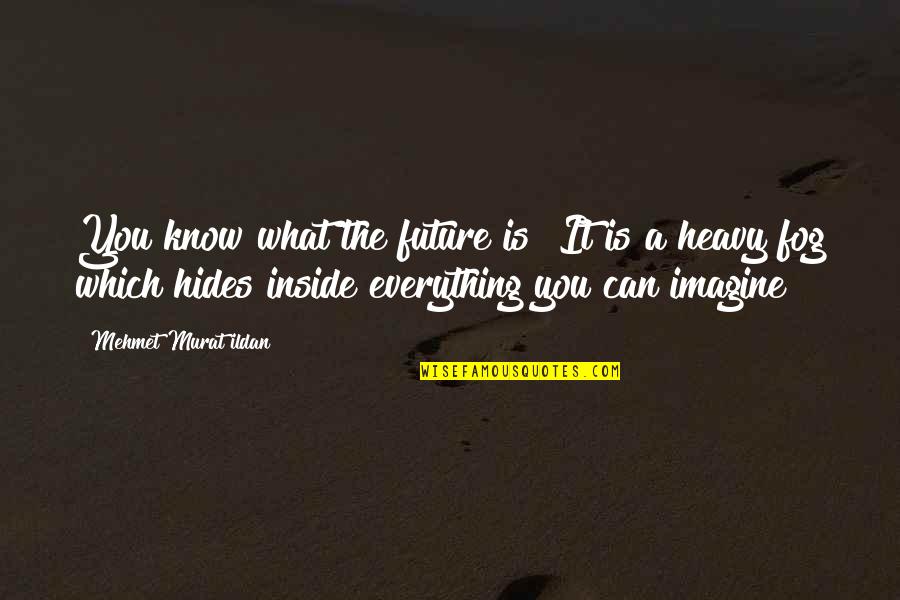 You Can Know Everything Quotes By Mehmet Murat Ildan: You know what the future is? It is