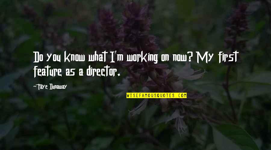 You Can Never Do Enough Quotes By Faye Dunaway: Do you know what I'm working on now?