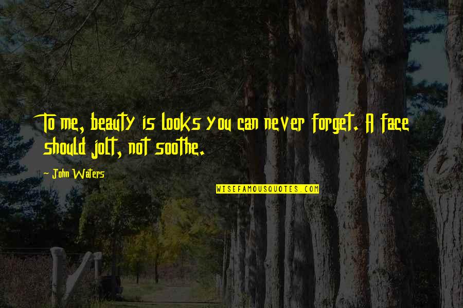 You Can Never Forget Quotes By John Waters: To me, beauty is looks you can never