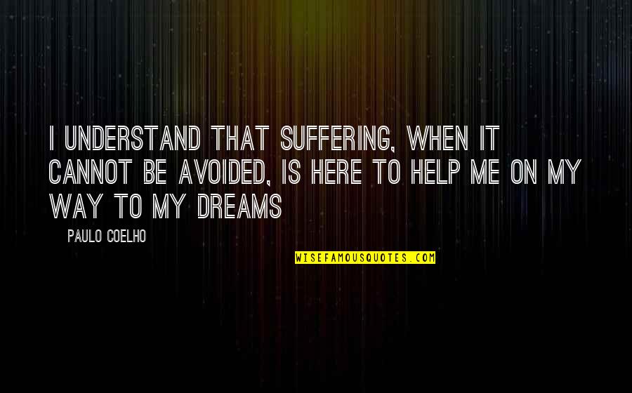 You Cannot Understand Me Quotes By Paulo Coelho: I understand that suffering, when it cannot be