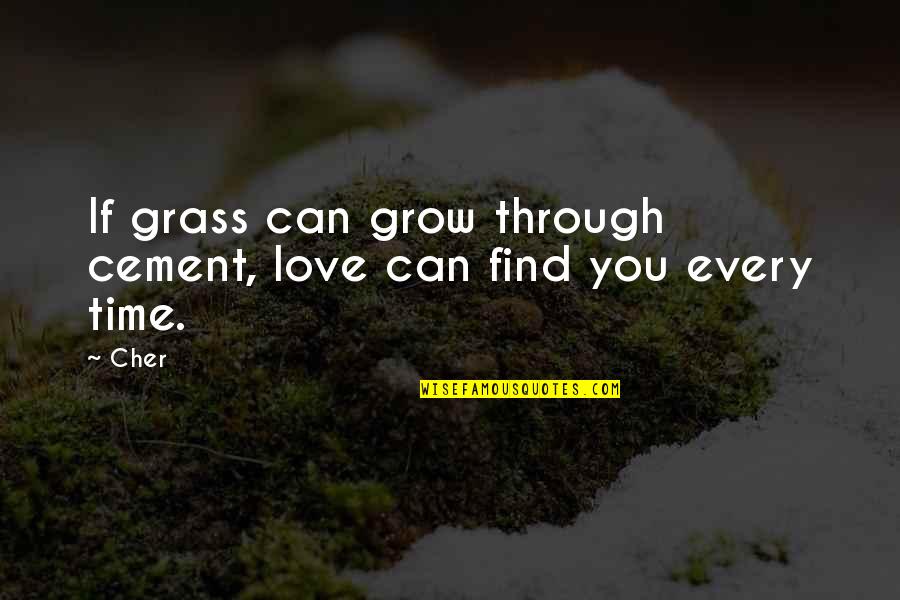 You Can't Find Love Quotes By Cher: If grass can grow through cement, love can
