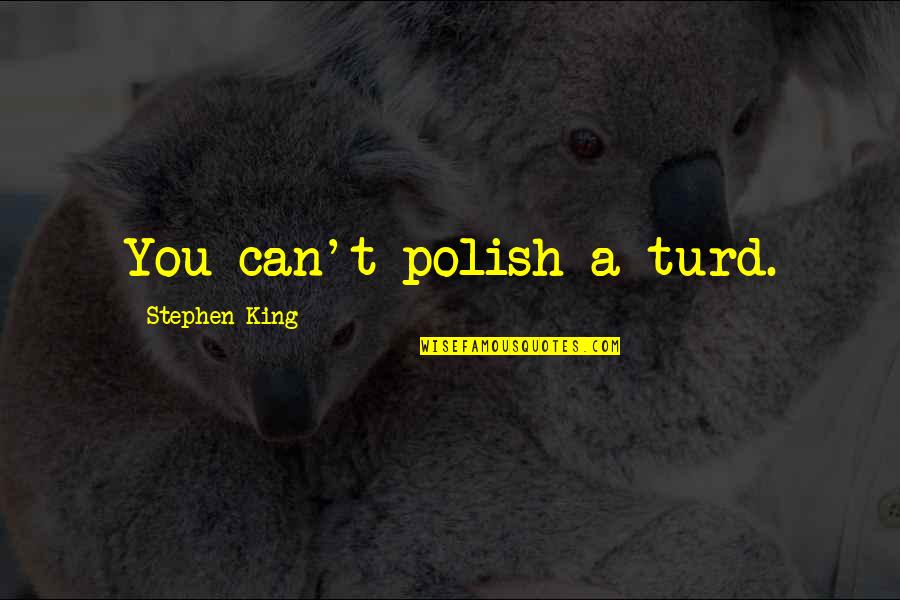 You Can't Polish A Turd Quotes By Stephen King: You can't polish a turd.