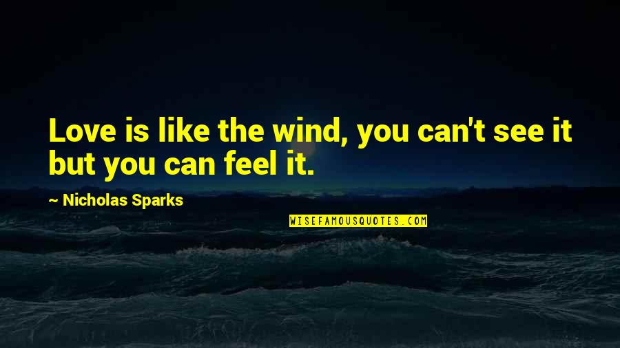 You Can't See Love Quotes By Nicholas Sparks: Love is like the wind, you can't see