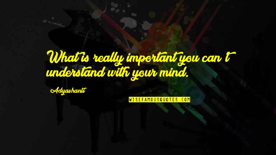 You Can't Understand Quotes By Adyashanti: What is really important you can't understand with