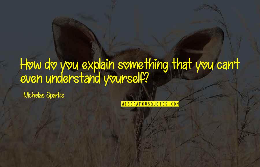 You Can't Understand Quotes By Nicholas Sparks: How do you explain something that you can't