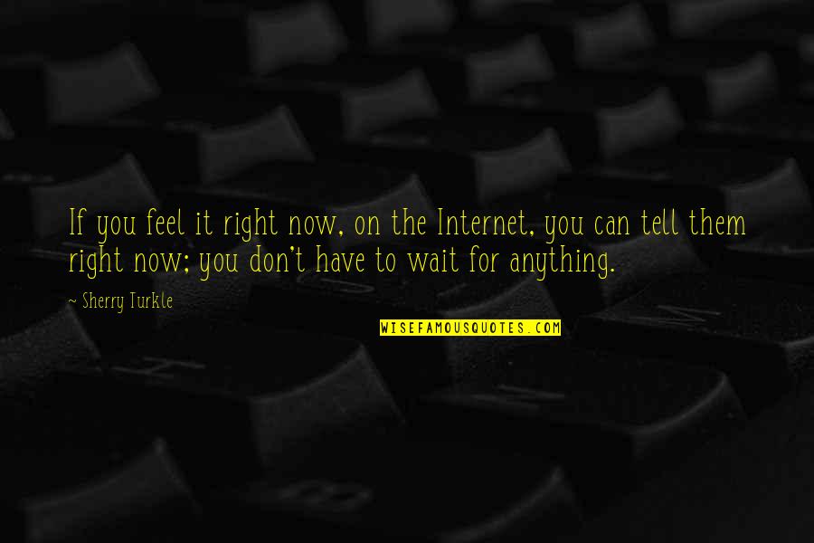 You Can't Wait Quotes By Sherry Turkle: If you feel it right now, on the