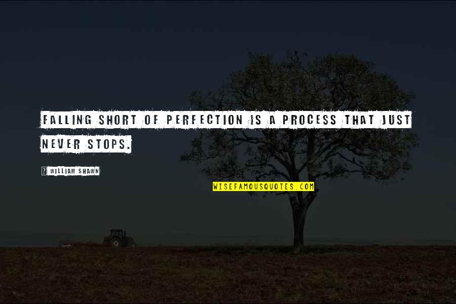 You Cant Withstand The Storm Quote Quotes By William Shawn: Falling short of perfection is a process that