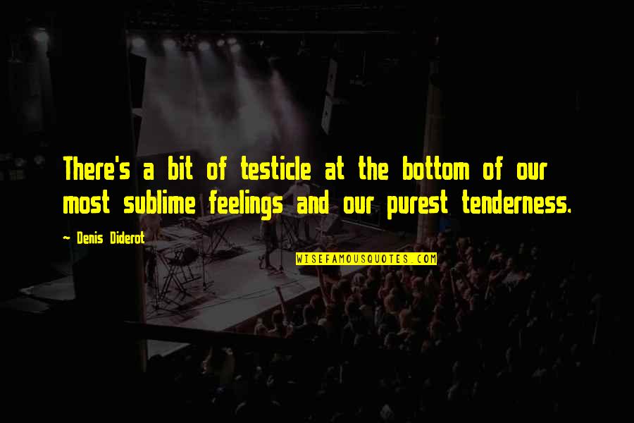 You Cant Withstand The Storm Quotes By Denis Diderot: There's a bit of testicle at the bottom