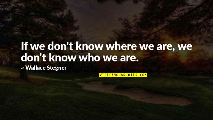 You Cant Withstand The Storm Quotes By Wallace Stegner: If we don't know where we are, we