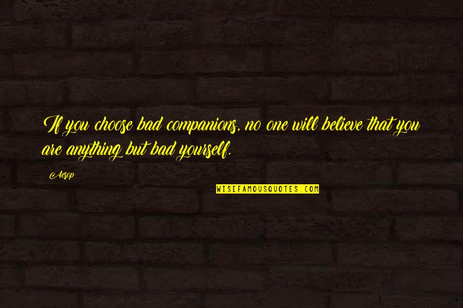You Choose Quotes By Aesop: If you choose bad companions, no one will