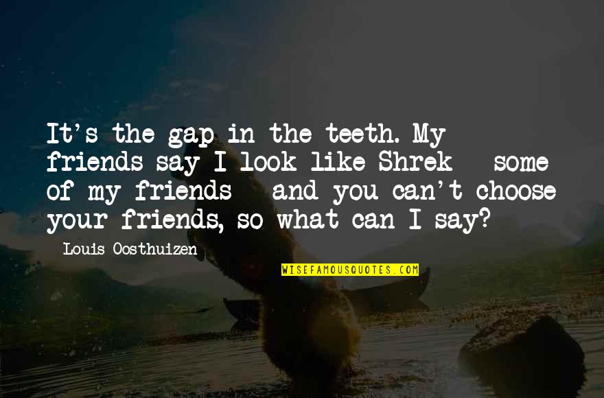 You Choose Your Friends Quotes By Louis Oosthuizen: It's the gap in the teeth. My friends