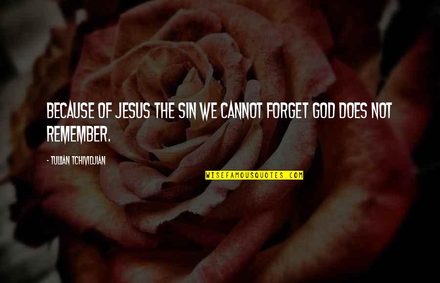You Complete Me Poems Quotes By Tullian Tchividjian: Because of Jesus the sin we cannot forget