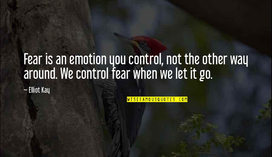 You Control Your Emotions Quotes By Elliot Kay: Fear is an emotion you control, not the