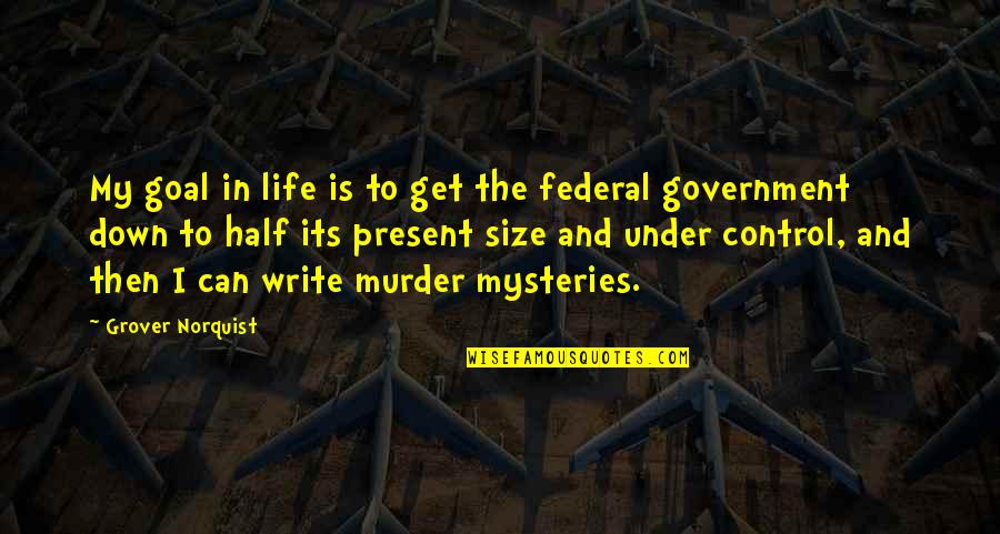 You Control Your Own Life Quotes By Grover Norquist: My goal in life is to get the