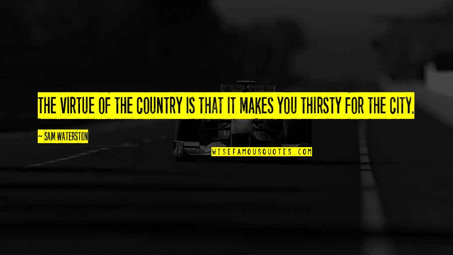 You Country Quotes By Sam Waterston: The virtue of the country is that it