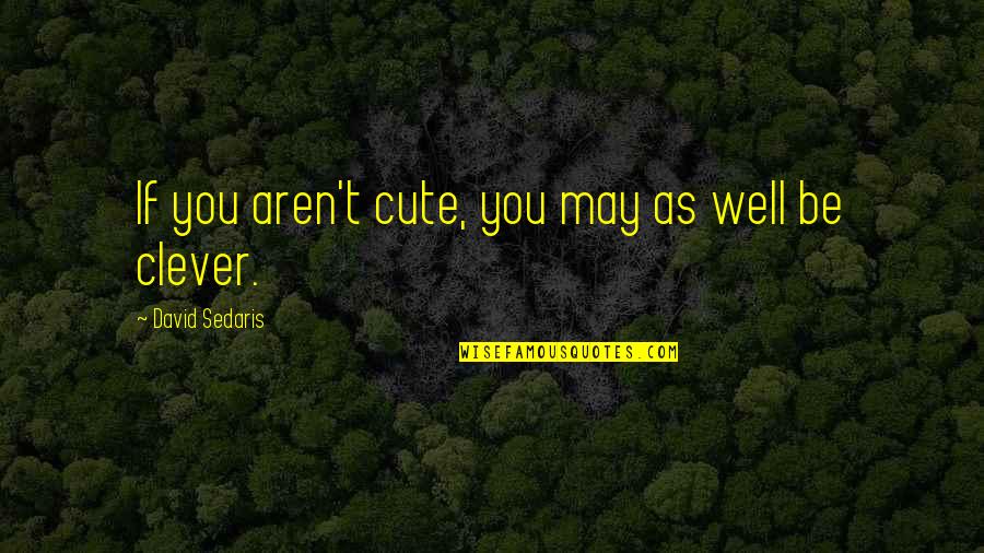 You Cute Quotes By David Sedaris: If you aren't cute, you may as well