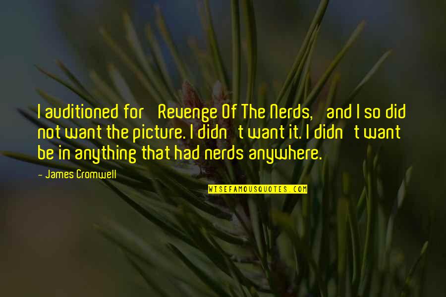 You Did It Picture Quotes By James Cromwell: I auditioned for 'Revenge Of The Nerds,' and