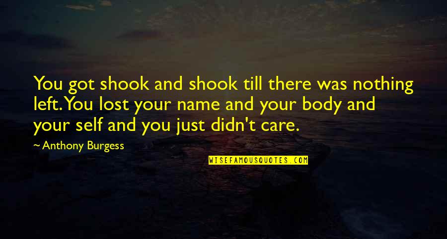 You Didn't Care Quotes By Anthony Burgess: You got shook and shook till there was