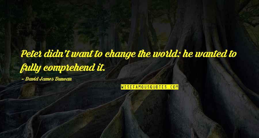 You Didn't Change Quotes By David James Duncan: Peter didn't want to change the world: he