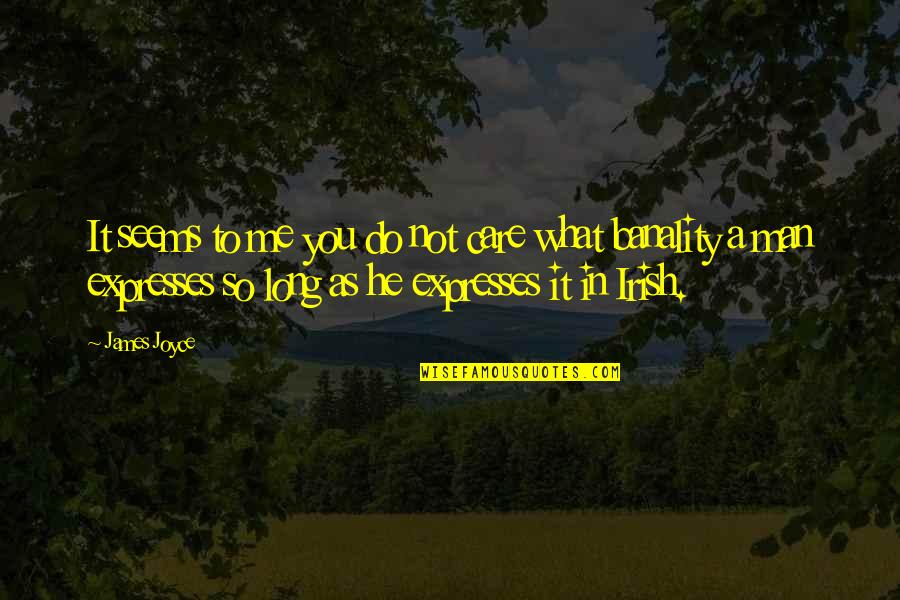 You Do Not Care Quotes By James Joyce: It seems to me you do not care
