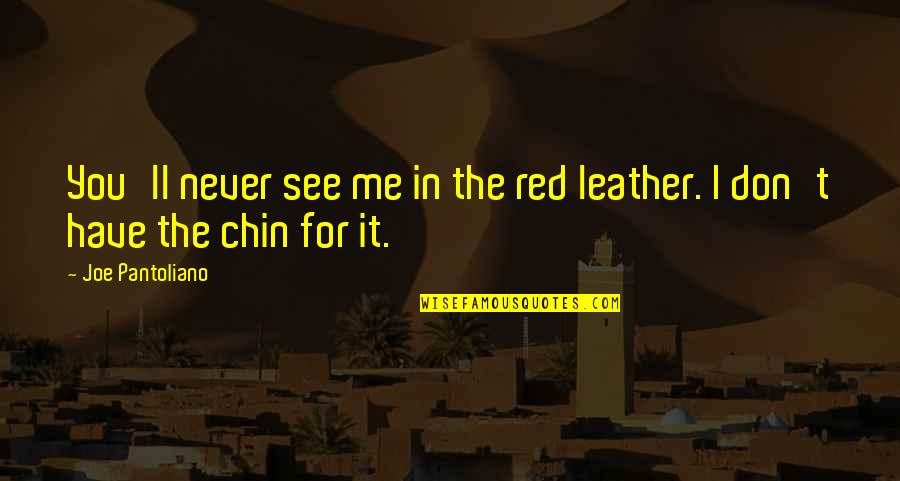 You Don See Me Quotes By Joe Pantoliano: You'll never see me in the red leather.
