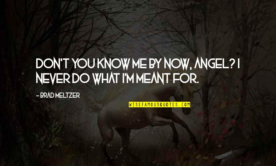 You Don T Know Me Quotes By Brad Meltzer: Don't you know me by now, Angel? I