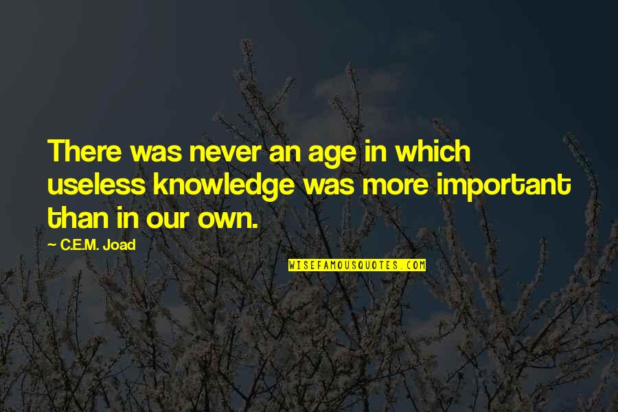 You Dont Appreciate My Effort Quotes By C.E.M. Joad: There was never an age in which useless
