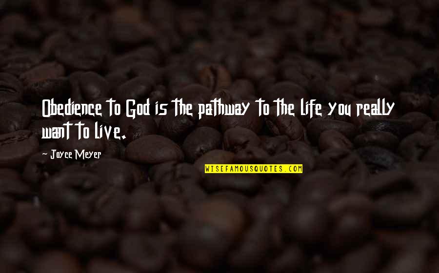 You Dont Choose Your Family Quote Quotes By Joyce Meyer: Obedience to God is the pathway to the