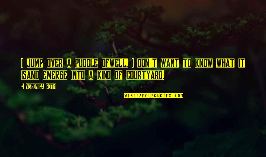 You Don't Even Know What You Want Quotes By Veronica Roth: I jump over a puddle ofwell, I don't