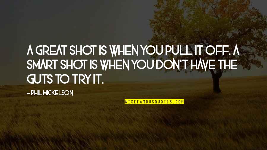 You Don't Have The Guts Quotes By Phil Mickelson: A great shot is when you pull it
