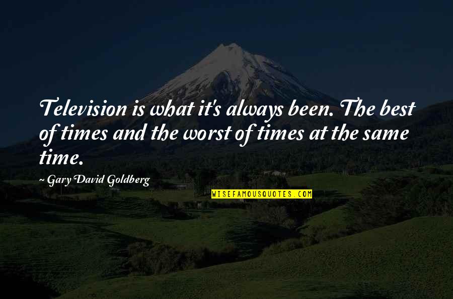 You Dont Have To Explain Yourself To Anyone Quotes By Gary David Goldberg: Television is what it's always been. The best