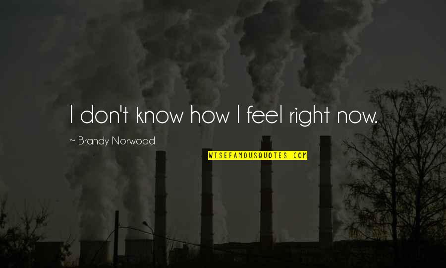 You Don't Know How I Feel Quotes By Brandy Norwood: I don't know how I feel right now.