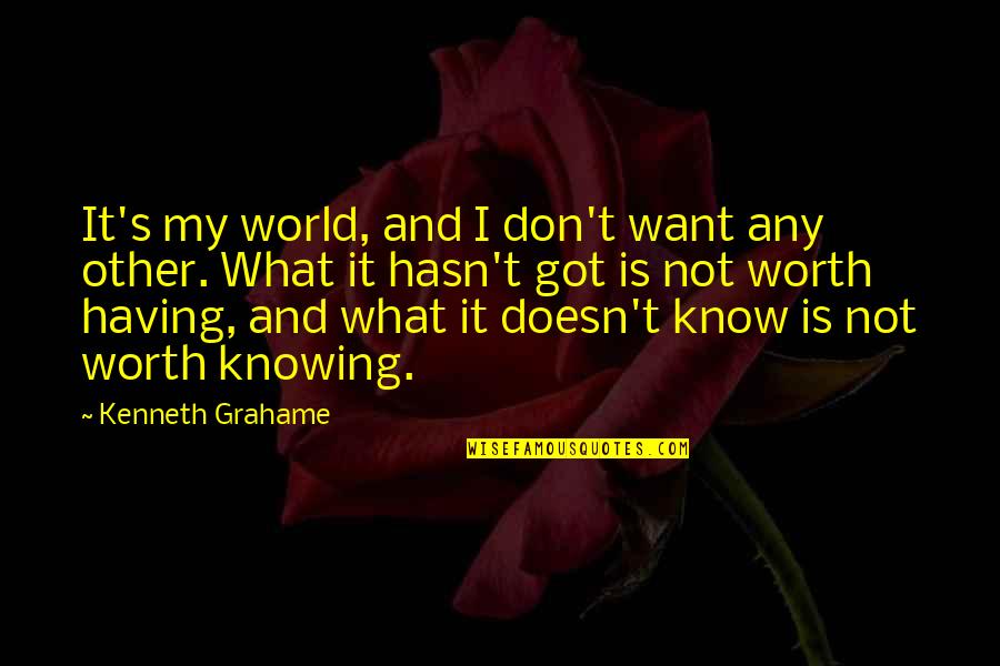 You Don't Know My Worth Quotes By Kenneth Grahame: It's my world, and I don't want any