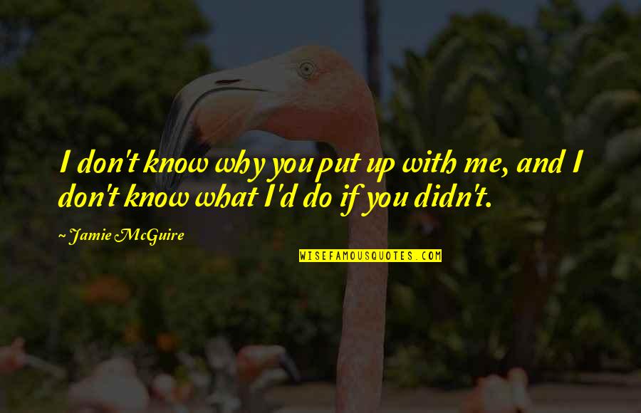 You Don't Know What You Do To Me Quotes By Jamie McGuire: I don't know why you put up with