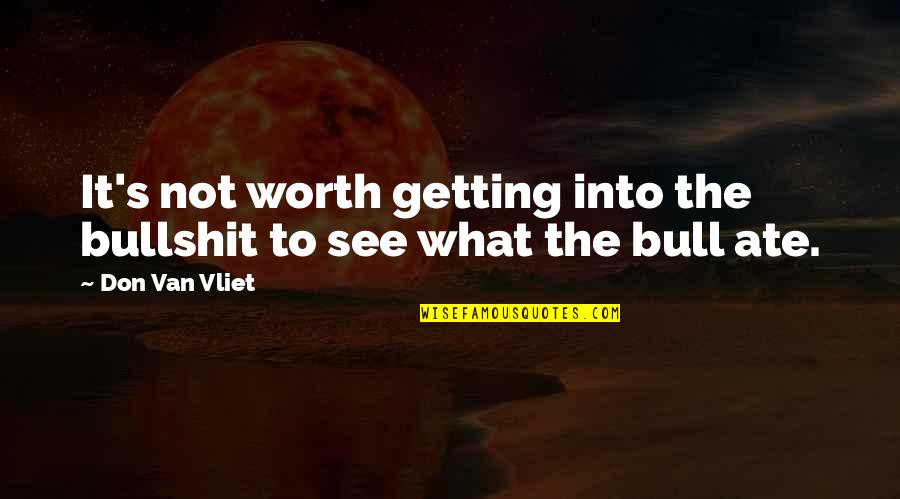You Don't See My Worth Quotes By Don Van Vliet: It's not worth getting into the bullshit to