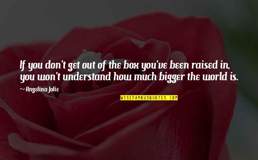 You Don't Understand Quotes By Angelina Jolie: If you don't get out of the box