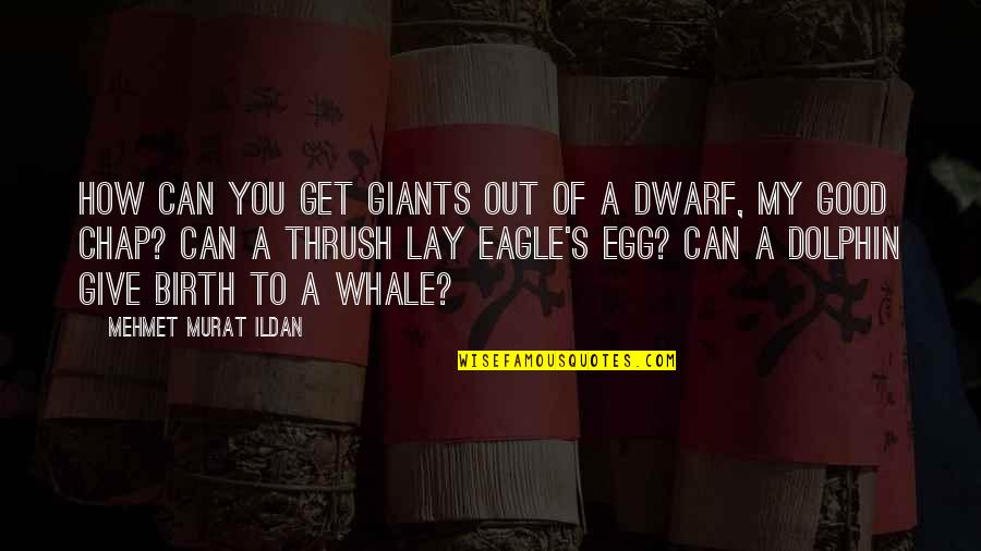 You Egg Quotes By Mehmet Murat Ildan: How can you get giants out of a You Egg Quotes By Mehmet Murat Ildan: How can you get giants out of a