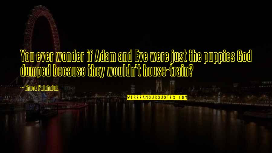 You Ever Wonder Quotes By Chuck Palahniuk: You ever wonder if Adam and Eve were You Ever Wonder Quotes By Chuck Palahniuk: You ever wonder if Adam and Eve were