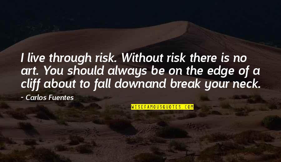 You Fall Down Quotes By Carlos Fuentes: I live through risk. Without risk there is