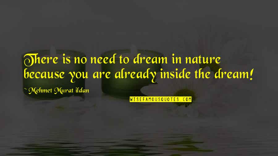 You Famous Quotes By Mehmet Murat Ildan: There is no need to dream in nature You Famous Quotes By Mehmet Murat Ildan: There is no need to dream in nature