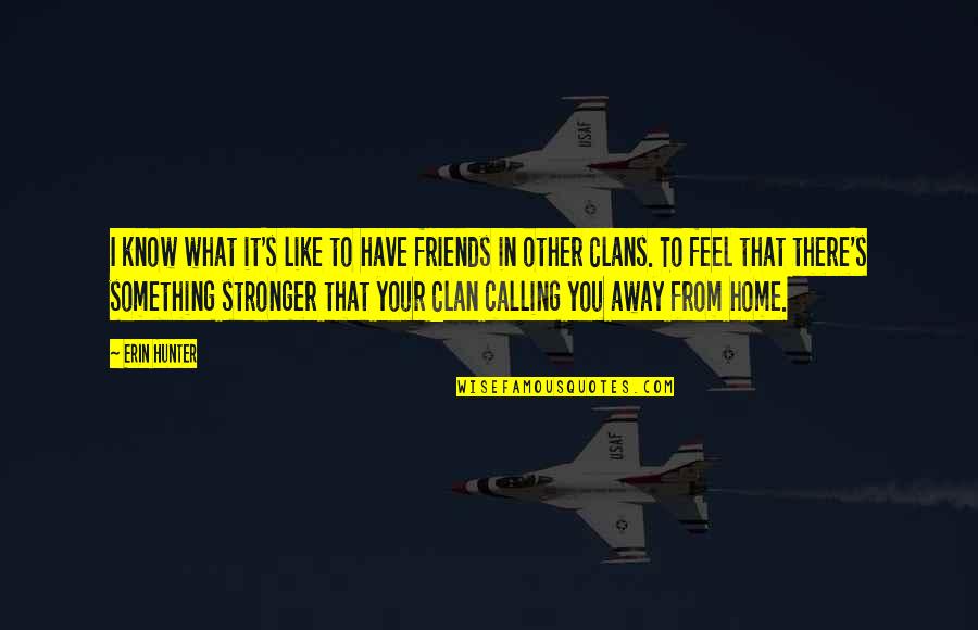 You Feel Like Home Quotes By Erin Hunter: I know what it's like to have friends