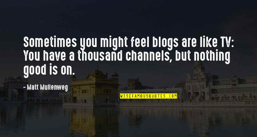 You Feel Nothing Quotes By Matt Mullenweg: Sometimes you might feel blogs are like TV: