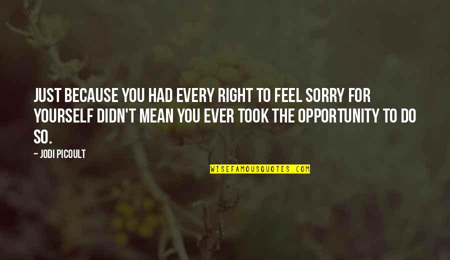 You Feel So Right Quotes By Jodi Picoult: Just because you had every right to feel You Feel So Right Quotes By Jodi Picoult: Just because you had every right to feel