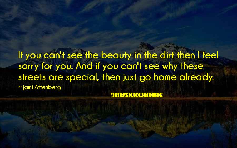 You Feel Sorry Quotes By Jami Attenberg: If you can't see the beauty in the